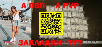 гашик Кингисепп