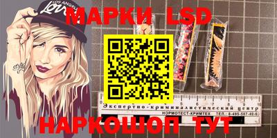 гашик Кингисепп