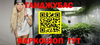 гашик Кингисепп
