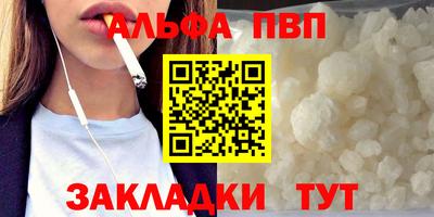 гашик Кингисепп