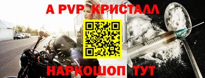гашик Кингисепп
