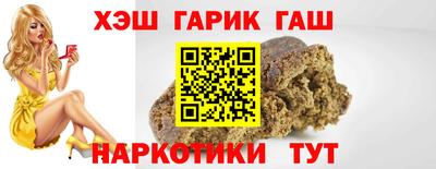 гашик Кингисепп