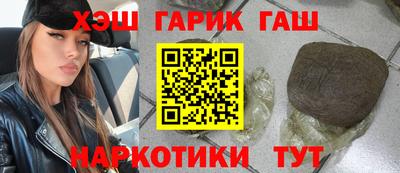 гашик Кингисепп