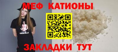 гашик Кингисепп