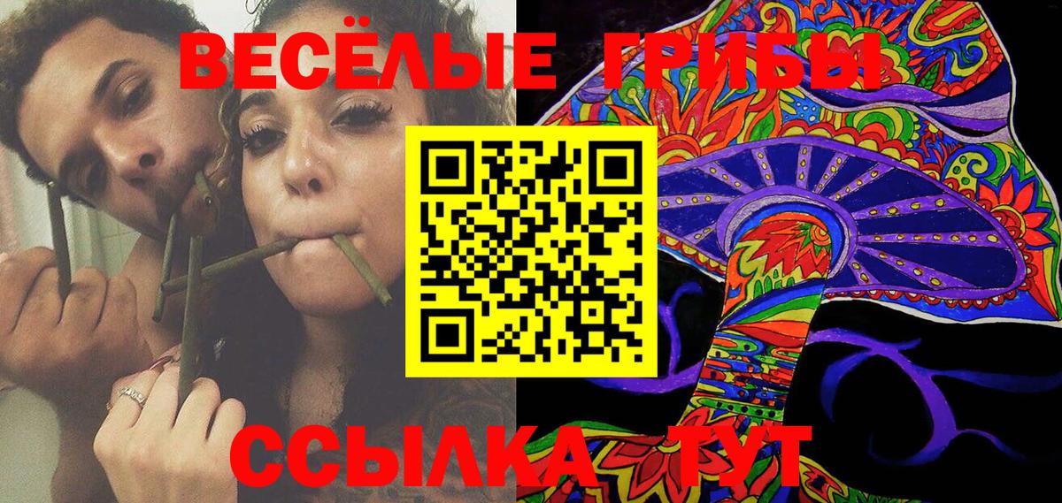 Галлюциногенные грибы MAGIC MUSHROOMS  Вход с VPN  Кузнецк 