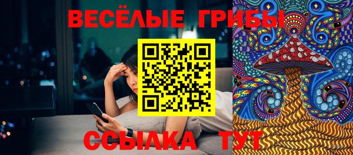 Псилоцибиновые грибы мицелий Кузнецк